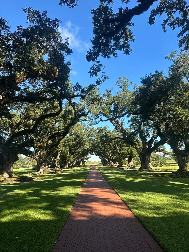 📍 Oak Alley, Louisiana · An avenue of old oak trees
