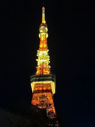 📍 Tokyo Tower, Japan · Lit up at night